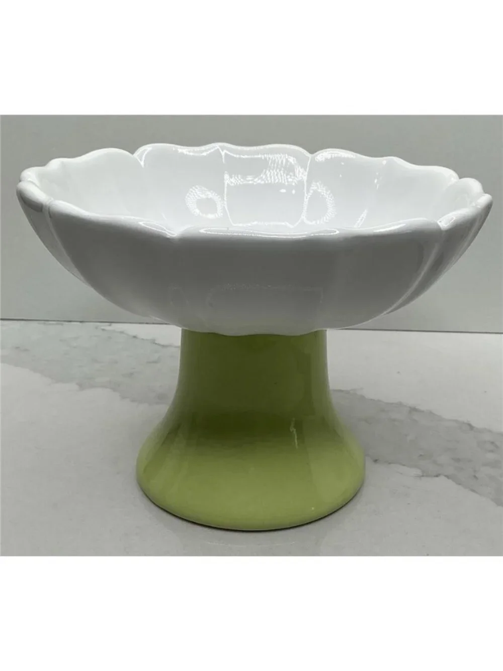 Rockybear Pet Ceramic Elevated Pet Food Bowl - Green & White Floral - NEW!